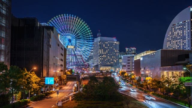 Night view of a city with a ferris wheel