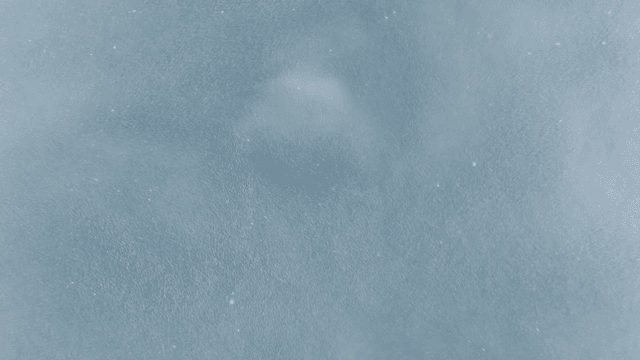 Aerial view of clear river filled with fish and walking trail