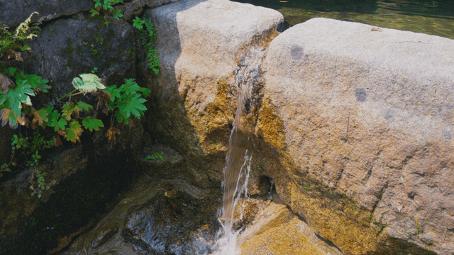 Valley stream flowing between small rocks