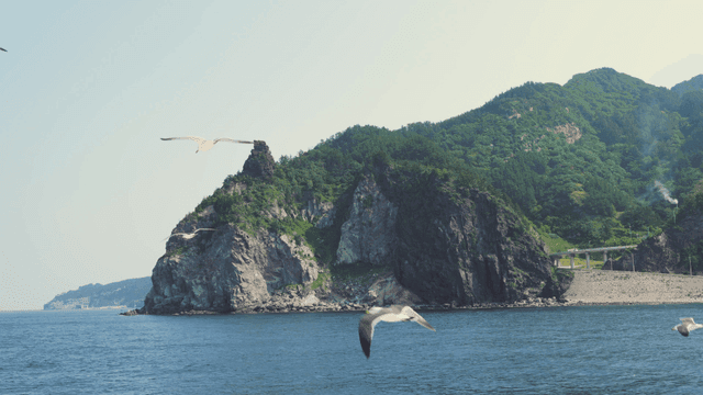 Seagulls flying near a rocky coastline