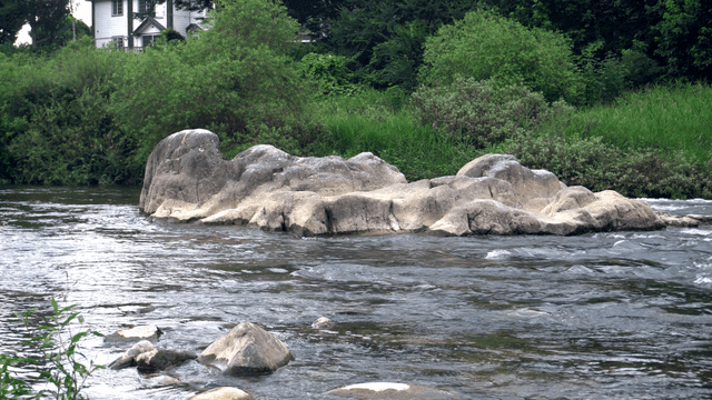 바위와 초목이 있는 흐르는 강