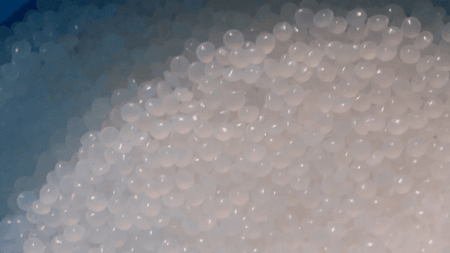 용기에 담긴 흰색 플라스틱 알갱이들