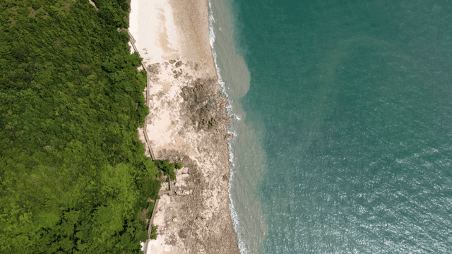 Quiet beach and forest