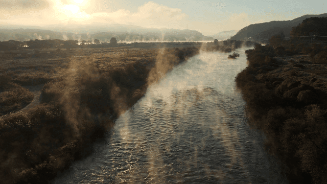 아침 안개가 낀 고요한 강