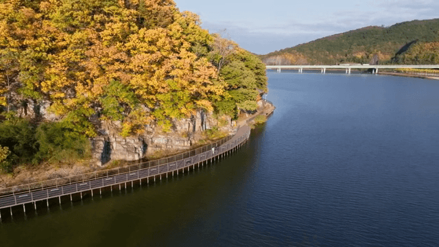 숲이 우거진 절벽을 따라 난 산책로