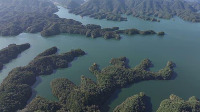 Serene Lakes Amidst Rolling and Lush Forested Hills