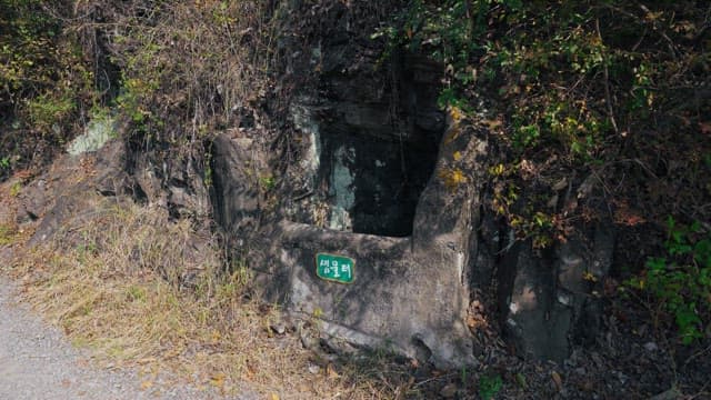 무성한 나무들로 둘러싸인 샘물터