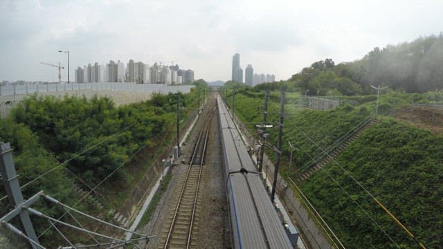 High-speed trains run on long stretches of track between the forest and the city