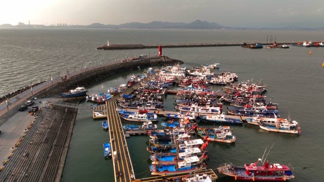 많은 배가 정박한 분주한 항구