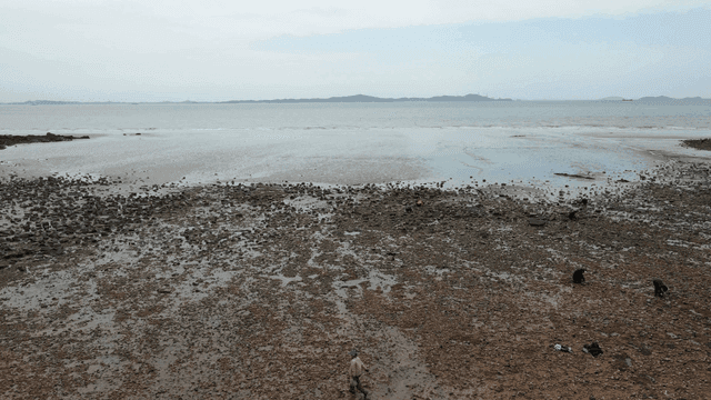 A serene beach with distant islands