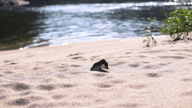 고요한 강가의 모래사장