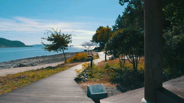 맑은 날 평화로운 해안 산책로