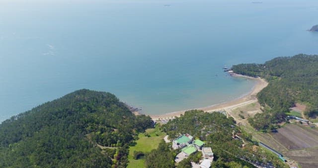 Serene beach with lush greenery