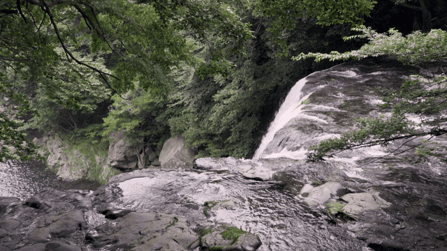 Serene waterfall surrounded by lush greenery