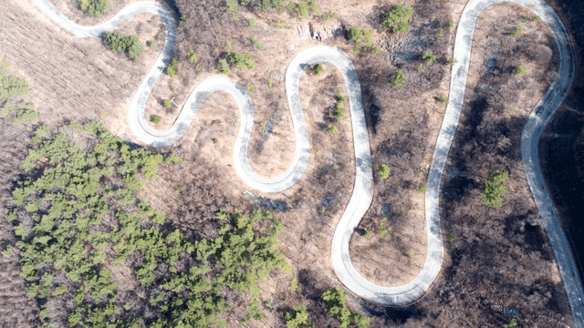 Winding road cutting through forest