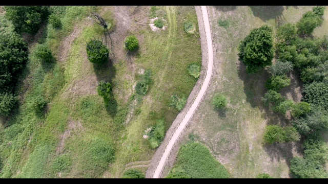 Winding path through a green landscape