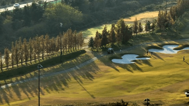 Golfers playing on a sunny course