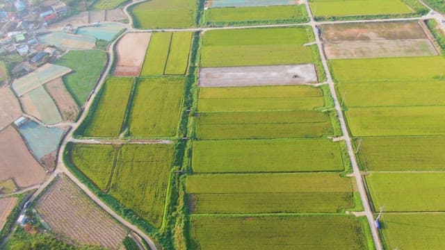 Expansive farmland with green fields