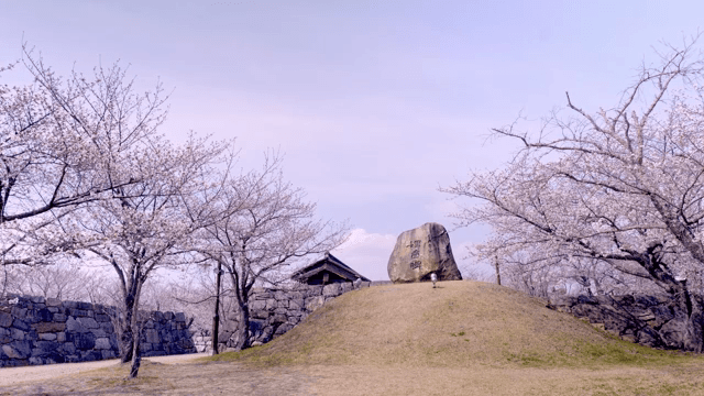 Park and stone monument with cherry blossoms in full bloom