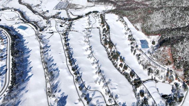 눈 덮인 산과 나무가 있는 풍경