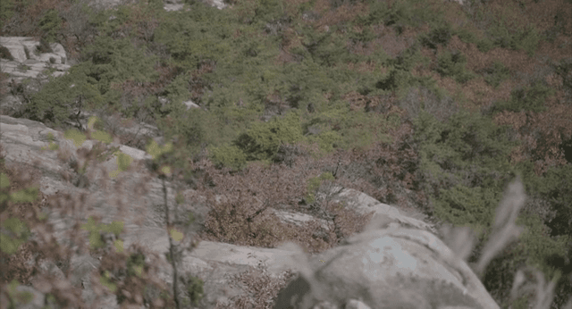 나무가 우거진 산의 풍경