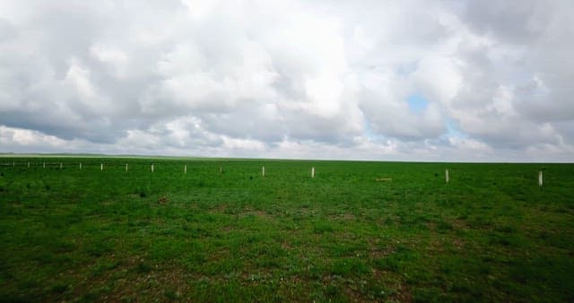 Vast green field under cloudy sky