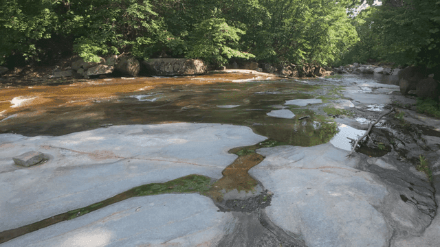 숲 사이를 흐르는 고요한 계곡