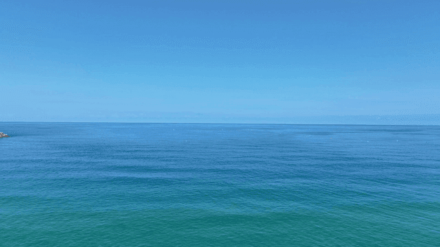 서퍼들이 맑은 바다를 즐기는 모습