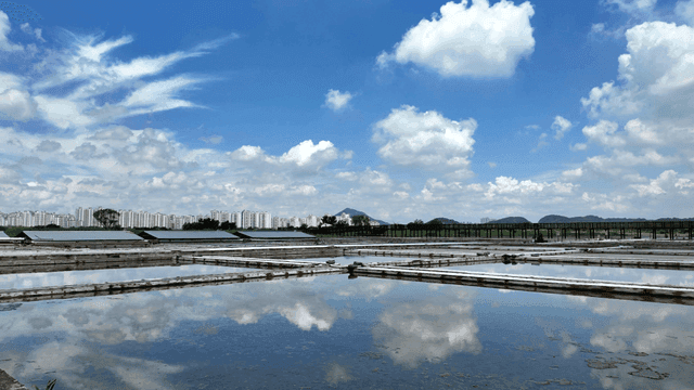 Salt fields as long as there are solar panels
