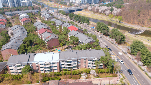 Aerial view of a residential area with cherry blossoms