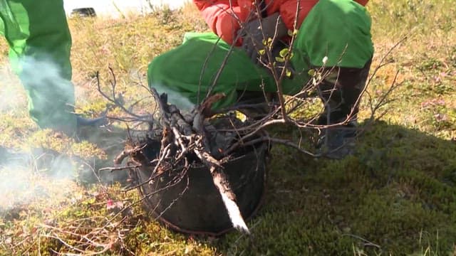 자연에서 캠프파이어 준비하기