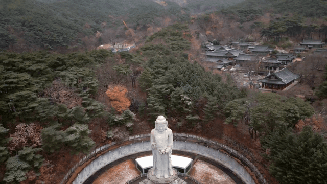 Large Buddha statue in a forested temple