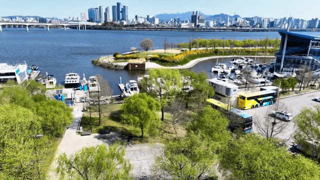 도시 스카이라인이 보이는 강변 공원