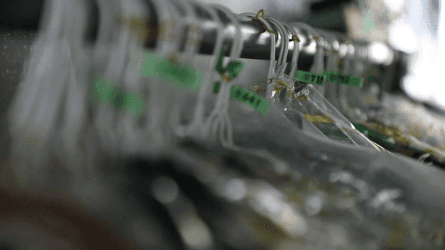 번호가 매겨진 옷걸이들