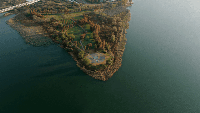 푸른 나무가 있는 작은 섬