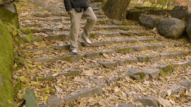 Person descending stone steps covered with autumn leaves