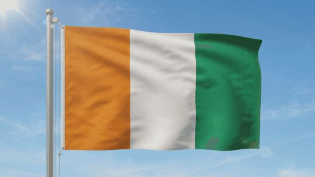Ivorian flag fluttering against clear sky