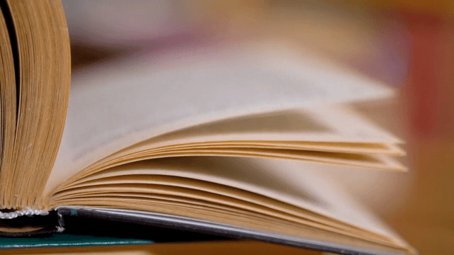 책의 페이지가 넘겨지는 모습