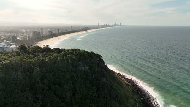 Aerial view of coastal cityscape with forest