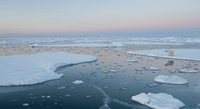 북극곰이 있는 광활한 바다 위의 빙하 조각