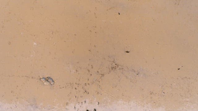 Serene beach landscape from above