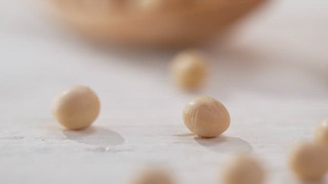 나무 숟가락에 올려진 신선한 메주콩