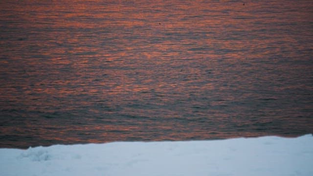 해질 무렵의 색깔을 반사하는 고요한 바닷물