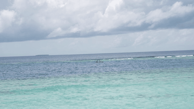 Two people kayaking on a calm sea