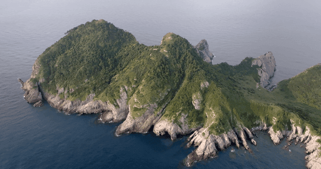 A lush green island surrounded by sea
