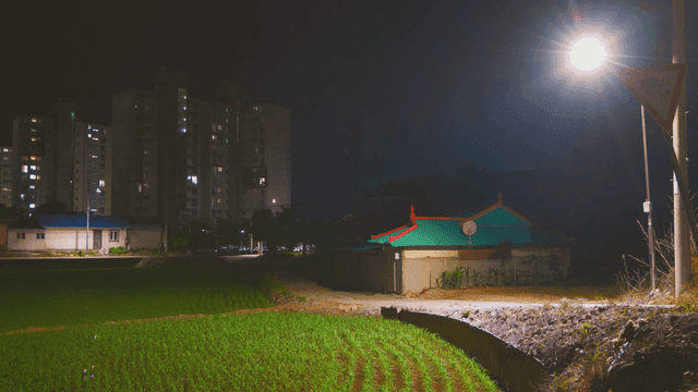 논밭이 있는 시골 지역의 야경