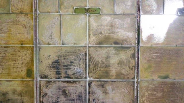 화창한 날 네모 모양으로 나눠져있는 염전