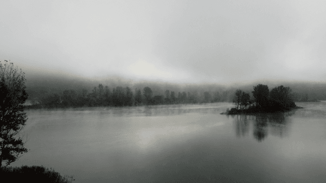 Foggy lake surrounded by trees.