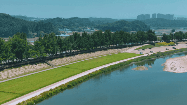 Lush green riverside park