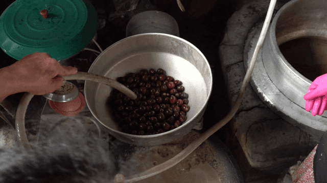 믹서 기계로 갈아지는 밤들